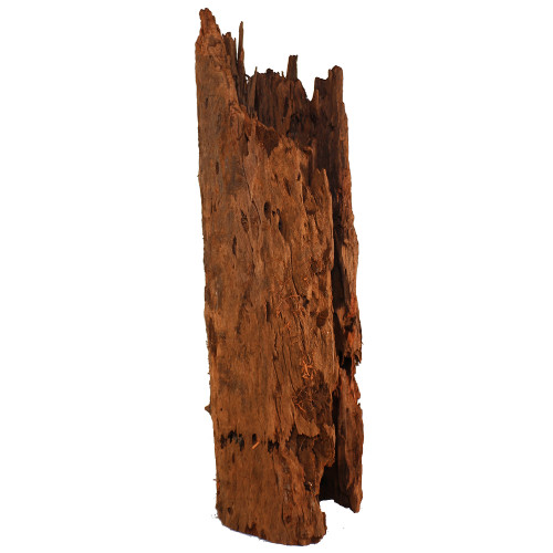 Malaysian Driftwood, Super WYSIWYG 36" x 15"