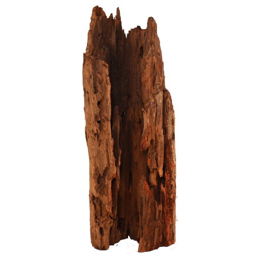 Malaysian Driftwood, Super WYSIWYG 36" x 15"