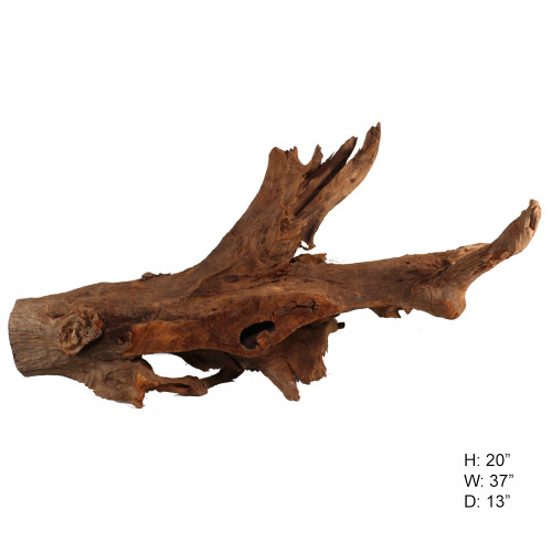 Malaysian Driftwood, Super WYSIWYG 20" x 37"
