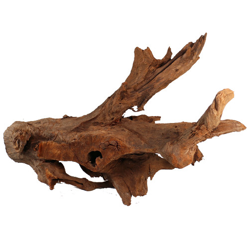 Malaysian Driftwood, Super WYSIWYG 20" x 37"