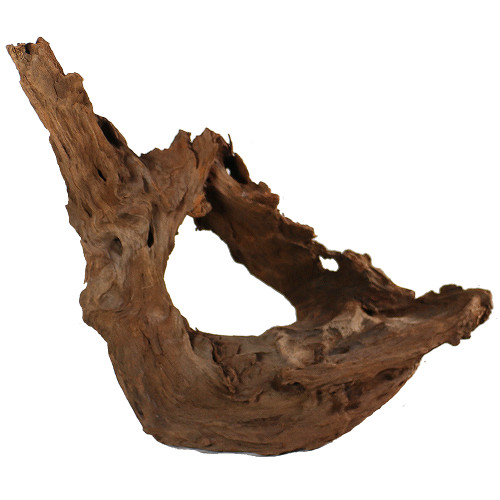 Malaysian Driftwood, Super WYSIWYG 22" x 42"