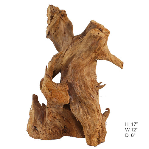 Malaysian Driftwood, Super WYSIWYG 17" x 12"