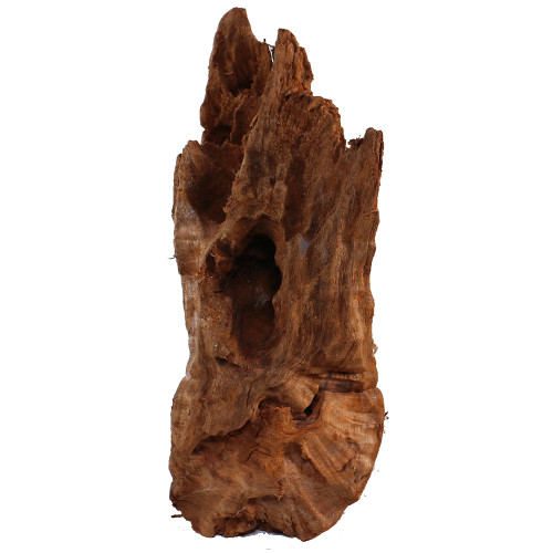 Malaysian Driftwood, Super WYSIWYG 16" x 6"