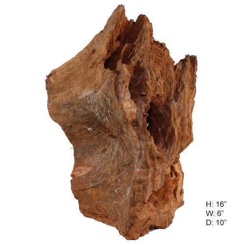 Malaysian Driftwood, Super WYSIWYG 16" x 6"