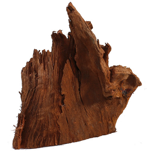 Malaysian Driftwood, Super WYSIWYG 14" x 11"