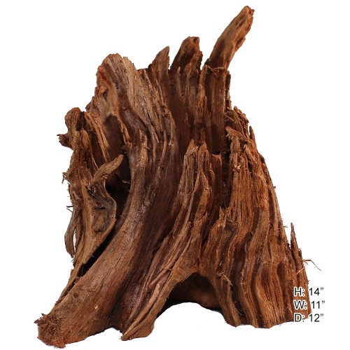Malaysian Driftwood, Super WYSIWYG 14" x 11"