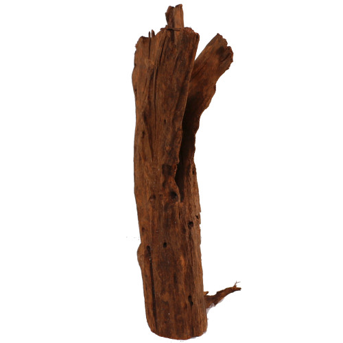 Malaysian Driftwood, Super WYSIWYG 19" x 11"