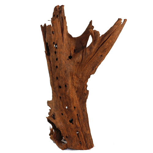 Malaysian Driftwood, Super WYSIWYG 19" x 11"
