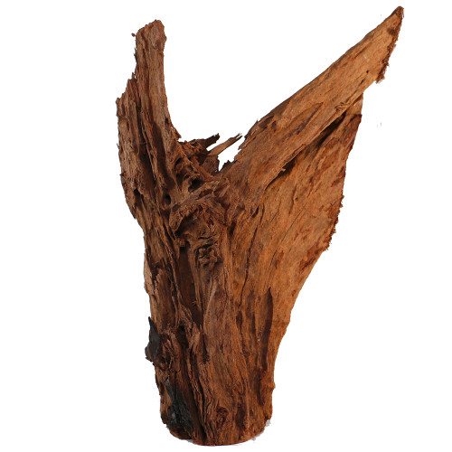 Malaysian Driftwood, Super WYSIWYG 21" x 13"