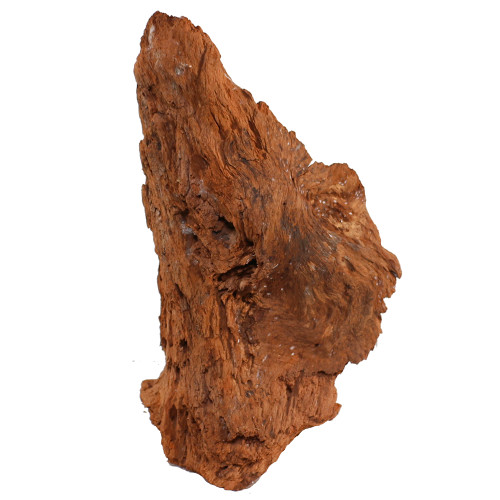 Malaysian Driftwood, Super WYSIWYG 18" x 10"