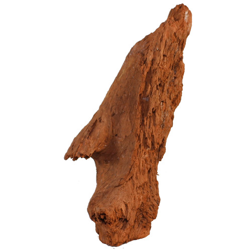Malaysian Driftwood, Super WYSIWYG 18" x 10"
