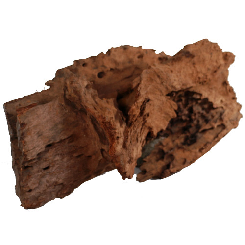 Malaysian Driftwood, Super WYSIWYG 10" x 22"