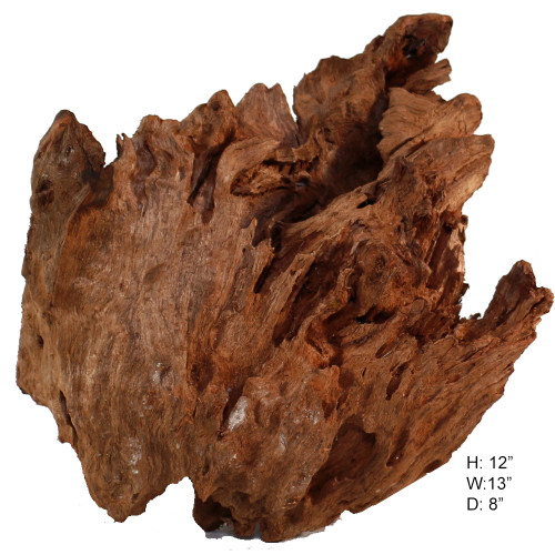 Malaysian Driftwood, Super WYSIWYG 12" x 13"