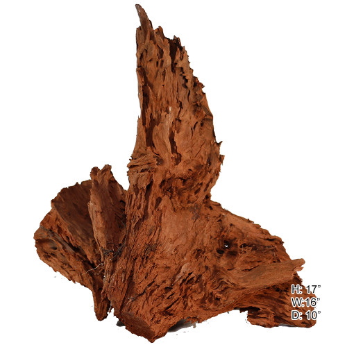 Malaysian Driftwood, Super WYSIWYG 17" x 16"