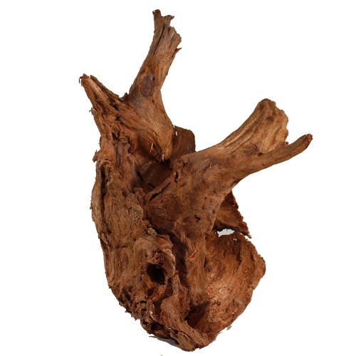Malaysian Driftwood, Super WYSIWYG 17" x 9"