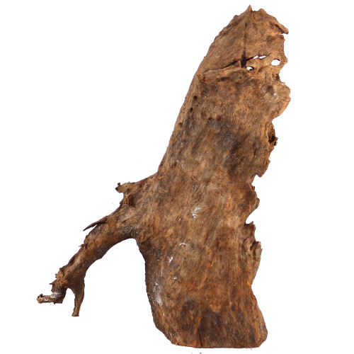 Malaysian Driftwood, Super WYSIWYG 18" x 7"