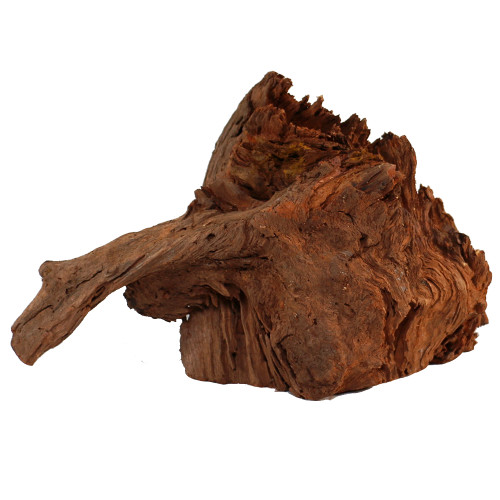 Malaysian Driftwood, Super WYSIWYG 11" x 19"