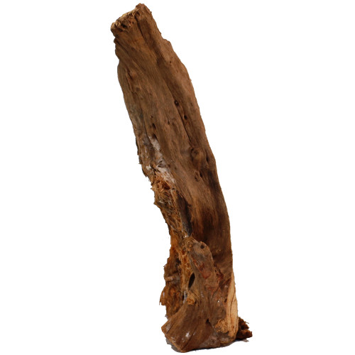 Malaysian Driftwood, Super WYSIWYG 19" x 11"