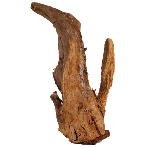Malaysian Driftwood, Super WYSIWYG 19" x 11"