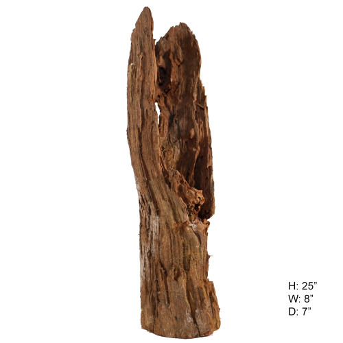 Malaysian Driftwood, Super WYSIWYG 25" x 8"