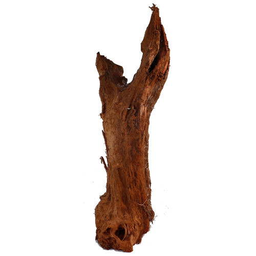 Malaysian Driftwood, Super WYSIWYG 20" x 12"