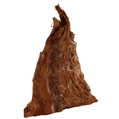 Malaysian Driftwood, Super WYSIWYG 20" x 12"