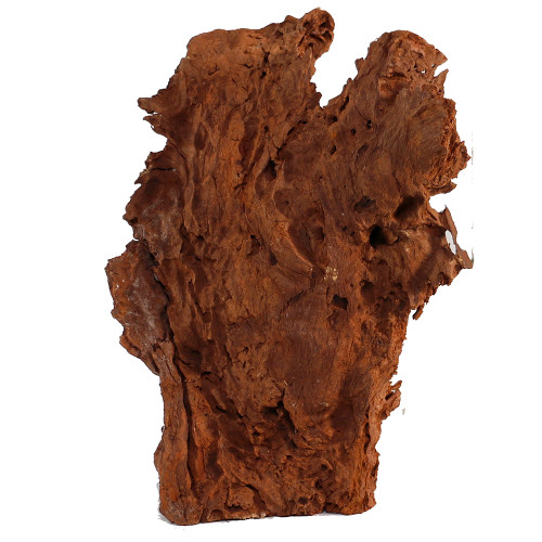 Malaysian Driftwood, Super WYSIWYG 14" x 11"