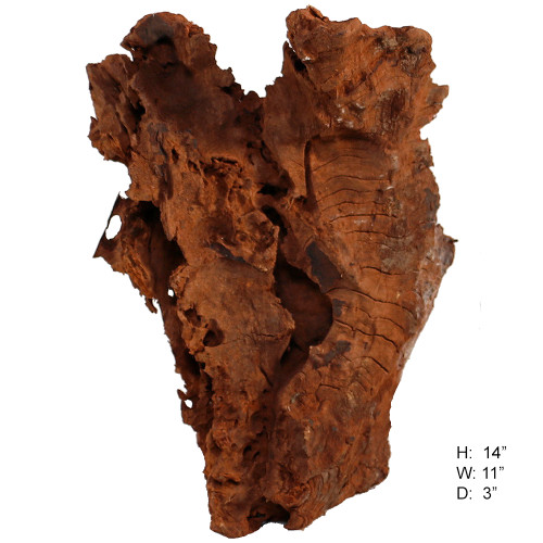 Malaysian Driftwood, Super WYSIWYG 14" x 11"
