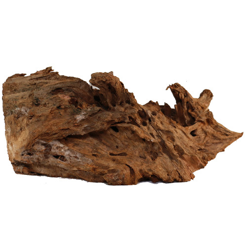 Malaysian Driftwood, Super WYSIWYG 8" x 18"