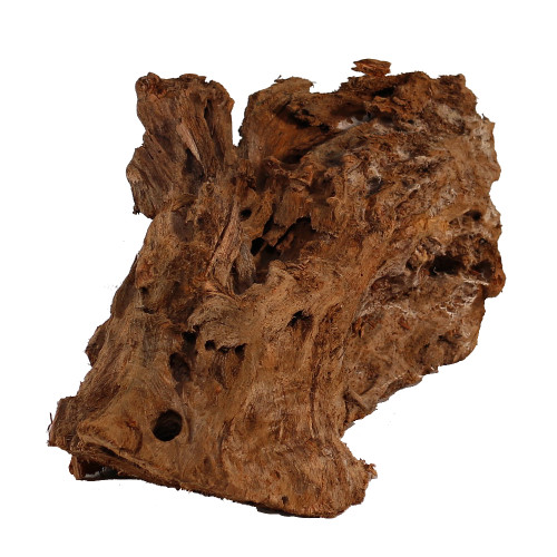 Malaysian Driftwood, Super WYSIWYG 8" x 18"