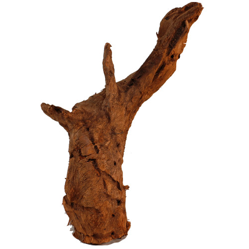 Malaysian Driftwood, Super WYSIWYG 20" x 14"