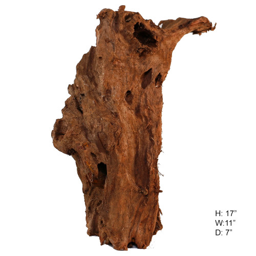 Malaysian Driftwood, Super WYSIWYG 17" x 11"
