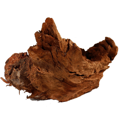 Malaysian Driftwood, Super WYSIWYG 11" x 21"