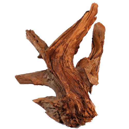 Malaysian Driftwood, Super WYSIWYG 21" x 17"