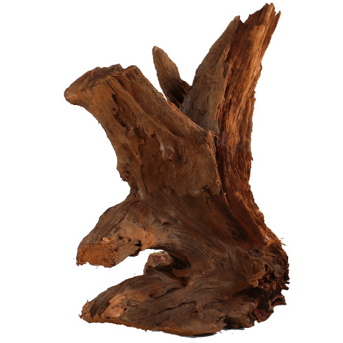Malaysian Driftwood, Super WYSIWYG 21" x 17"