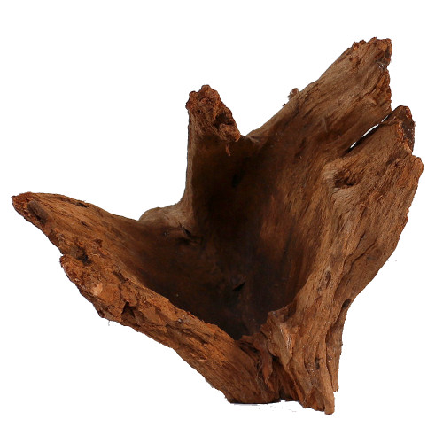 Malaysian Driftwood, Super WYSIWYG 11" x 13"