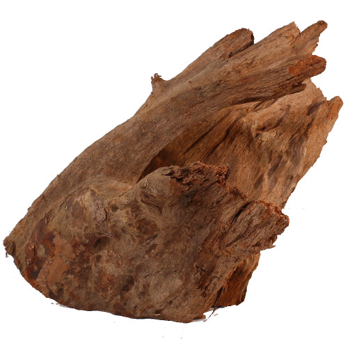 Malaysian Driftwood, Super WYSIWYG 11" x 13"