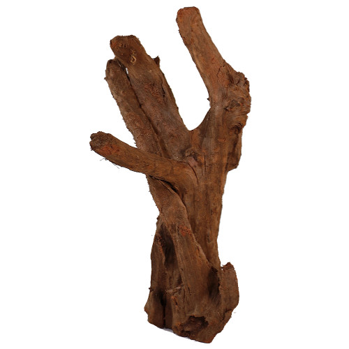 Malaysian Driftwood, Super WYSIWYG 21" x 10"