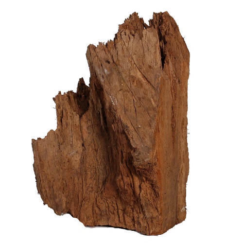 Malaysian Driftwood, Super WYSIWYG 12" x 11"