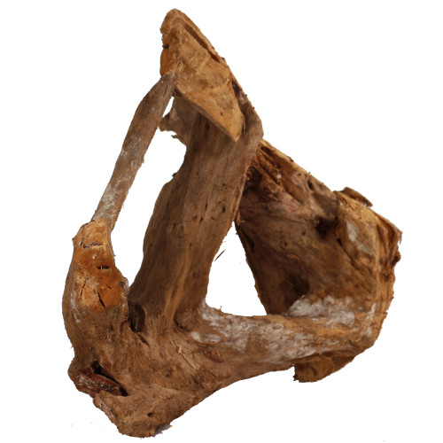 Malaysian Driftwood, Super WYSIWYG 17" x 17"