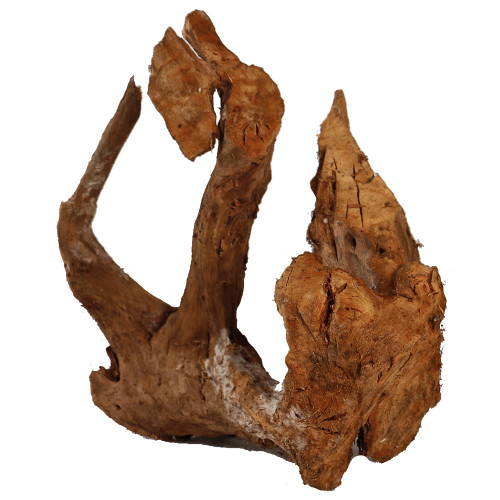 Malaysian Driftwood, Super WYSIWYG 17" x 17"