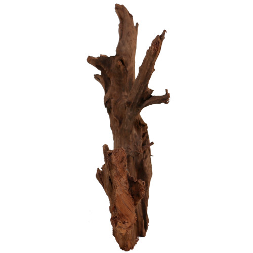 Malaysian Driftwood, Super WYSIWYG 20" x 14"