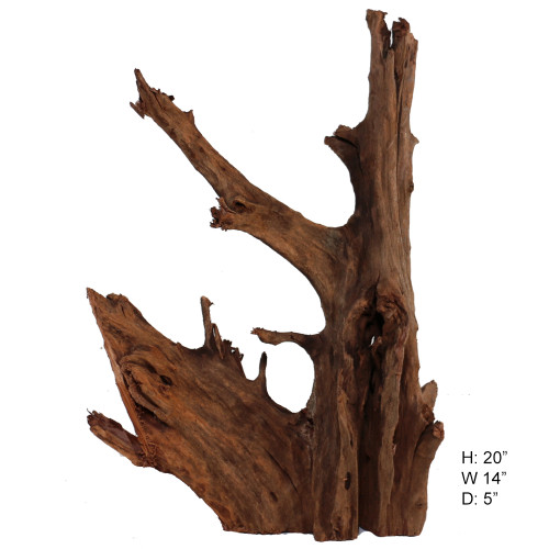 Malaysian Driftwood, Super WYSIWYG 20" x 14"