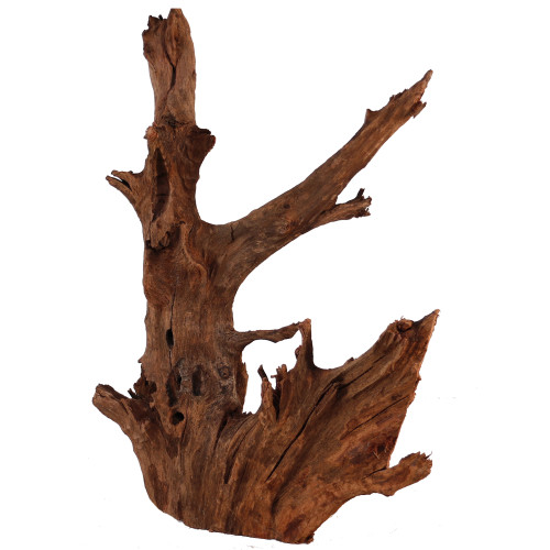 Malaysian Driftwood, Super WYSIWYG 20" x 14"