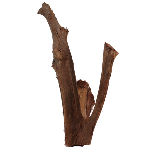 Malaysian Driftwood, Super WYSIWYG 23" x 11"