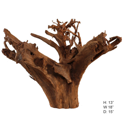 Malaysian Driftwood, Super WYSIWYG 13" x 18"