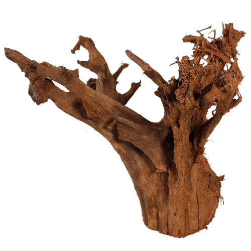 Malaysian Driftwood, Super WYSIWYG 13" x 18"