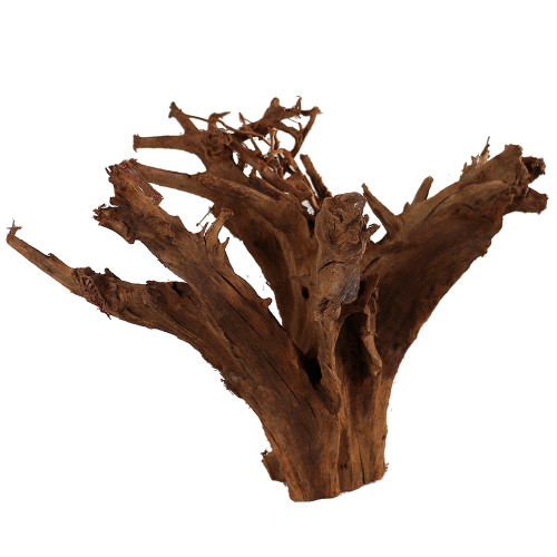 Malaysian Driftwood, Super WYSIWYG 13" x 18"