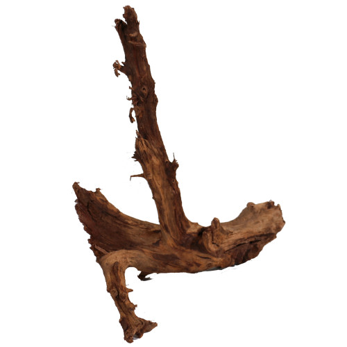 Malaysian Driftwood, Super WYSIWYG 16" x 16"