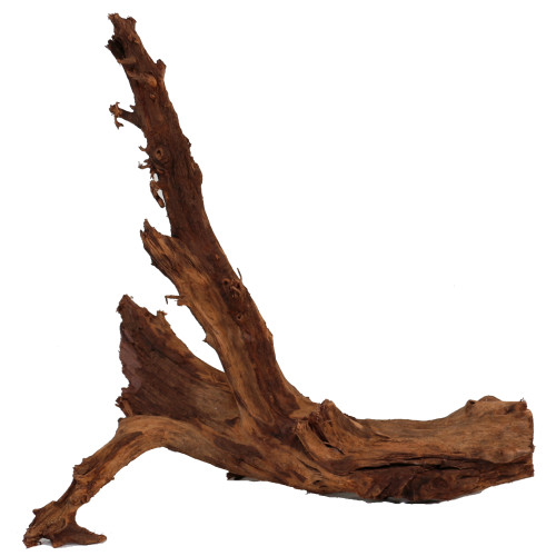 Malaysian Driftwood, Super WYSIWYG 16" x 16"